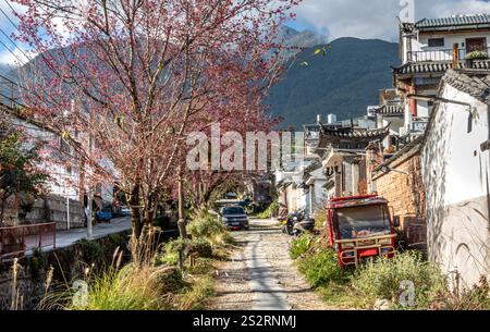 DALI alte Straße mit Bergen, Bäumen und Straße mit rotem Fahrzeug. Yunnan, China Stockfoto