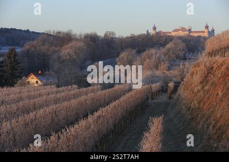 Kloster Göttingen, von oben gesehen Tiefenfucha am frühen Morgen im Winter mit Raureif, Furth bei Krems, Niederösterreich, Österreich, Europa Stockfoto