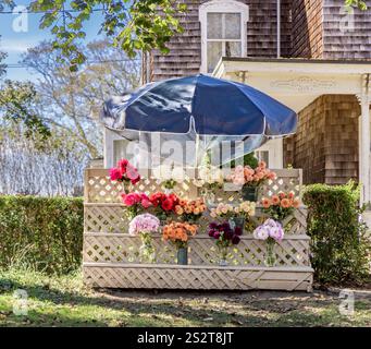 Bauernstand mit frisch geschnittenen Blumen auf der Ocean Road in bridgehampton Stockfoto