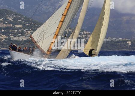 Rennen Sie die Regatta der letzten vier erhaltenen historischen Segelyachten der 15-Meter-Klasse während der Monaco Classic Week 2017, Race of the Classic Sailing Stockfoto