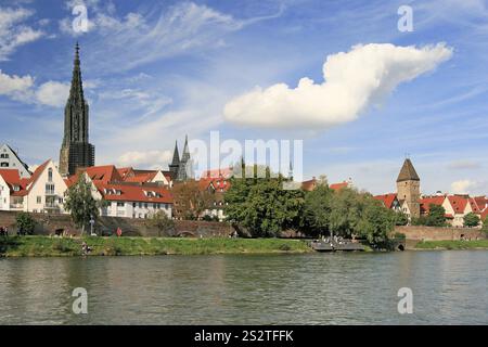 Blick auf die Altstadt vom rechten Donauufer mit Ulmer Münster und Metzgerturm, Ulm, Baden-Württemberg, Deutschland, Europa Stockfoto