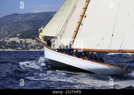 Rennen Sie die Regatta der letzten vier erhaltenen historischen Segelyachten der 15-Meter-Klasse während der Monaco Classic Week 2017, Race of the Classic Sailing Stockfoto