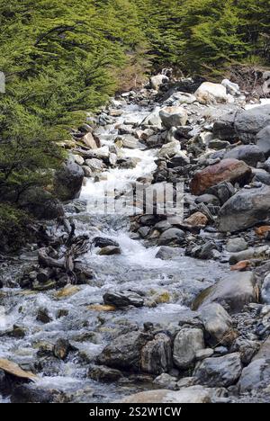 Wunderschöner Fluss, der über Felsen im Glaciar Martial, Ushuaia, Feuerland fließt Stockfoto