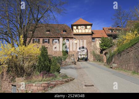 Stadttor Dilsberg, Teil der Stadt Neckargemuend, Rhein-Neckar-Landkreis, Naturpark Neckartal-Odenwald, Baden-Württemberg, Deutschland, Europa Stockfoto