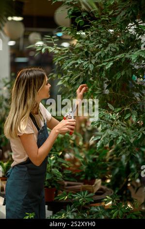 Schöner junger Blumenhändler, der sich um eine Pflanze kümmert, während er eine Schere benutzt und in einem Blumenladen arbeitet Stockfoto