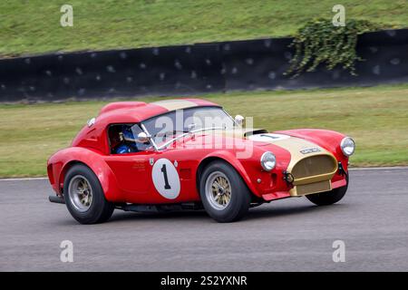 Bryant / Hill 1964 AC Cobra beim RAC TT Celebration Rennen beim Goodwood Revival 2024 in Sussex, Großbritannien. Stockfoto