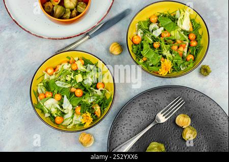 Appetitlicher grüner Salat aus Wildpflanzen und Physalis. Gerichte aus Unkraut und wilden Kräutern. Draufsicht. Stockfoto