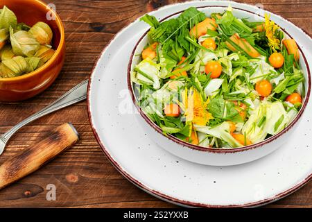Frühlingssalat mit wilden Kräutern, Salat und Physalis auf hölzernem Hintergrund. Gerichte aus Unkraut und wilden Kräutern. Stockfoto