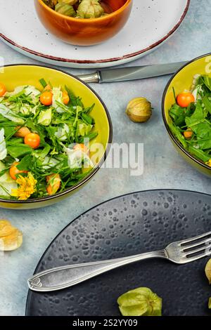 Einfache und leckere Gerichte aus Wildpflanzen. Gesundes Lebensmittelkonzept. Vitaminsalat. Flache Lagen Stockfoto
