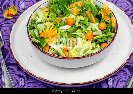 Salat von Wildpflanzen, Löwenzahn und Physalis. Gerichte aus Unkraut und wilden Kräutern. Stockfoto