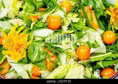 Salat. Einfache und leckere Gerichte aus wilden Speisepflanzen. Frischer Vitaminsalat. Stockfoto