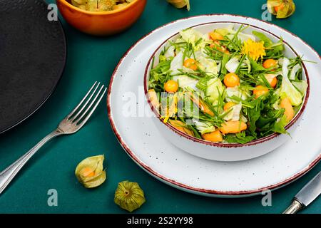 Salat von Wildpflanzen, Löwenzahn und Physalis. Stockfoto