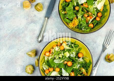 Einfache und leckere Gerichte aus Wildpflanzen. Frische, rohe Salate. Leerzeichen für Text. Stockfoto