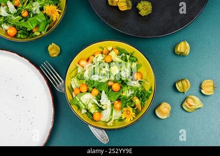 Leckere Gerichte aus Wildpflanzen. Vitaminsalat. Gesundes Lebensmittelkonzept. Kalorienarme vegetarische Speisen. Stockfoto