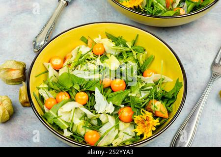 Salat von Wildpflanzen, Löwenzahn und Physalis. Gerichte aus Unkraut und wilden Kräutern. Stockfoto