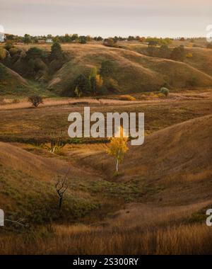 Herbsttal an einem bewölkten Tag, wenige Bäume wachsen an Hängen. Hügelige Landschaft mit trockenem Gras bei Sonnenuntergang. Stockfoto