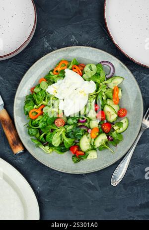 Gemüsesalat aus Gemüse, Tomaten, Gurken, Paprika und Burrata. Stockfoto