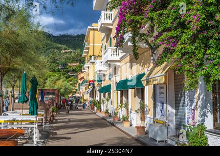 Farbenfrohe Gebäude an der von Bäumen gesäumten Via Fegina in Monterosso al Mare im Nationalpark Cinque Terre in der Region Ligurien im Nordwesten Italiens Stockfoto