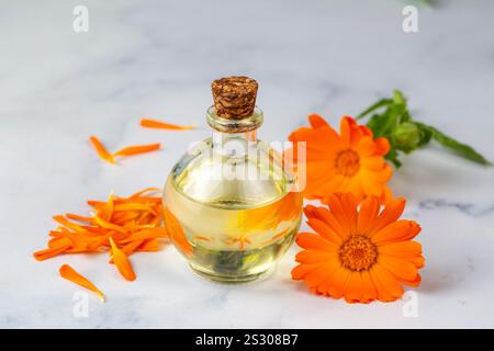 Pflanzliche Calendula officinalis im Glas und Tropfenöl. Calendula-Öl. Stockfoto