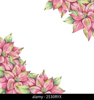 Weihnachtsstern rosa roter Eckrahmen, Winterblume mit Blättern. Traditionelle Pflanze zur Weihnachtsdekoration. Frohes Neues Jahr! Handgezeichnetes Aquarell Stockfoto