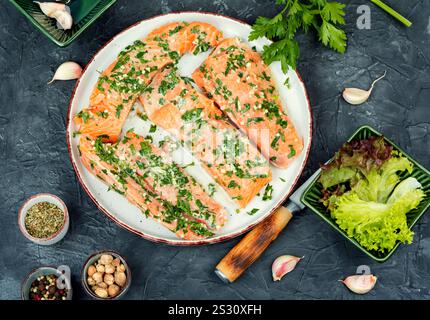Frischer roher Lachs oder Forellenfilet in Knoblauchkräutermarinade zum Backen bereit. Keto-Rezept. Stockfoto