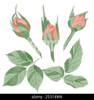 Set von Elementen: Eine scharlachrote Rose Blume mit grünen Blättern isoliert auf weißem Hintergrund, handgemachte digitale Aquarellillustration. Stockfoto