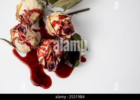 Eine blutig tote Rosenknospe mit Blut auf weißem Hintergrund. Trockene Blüten der Rose. Stockfoto