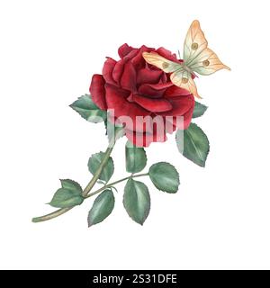 Dunkelrote Rose, grüne Blätter und fliegende orange Schmetterling Aquarellillustration isolierter Hintergrund. Realistische Vintage-Rose auf Stängelstrauß Stockfoto