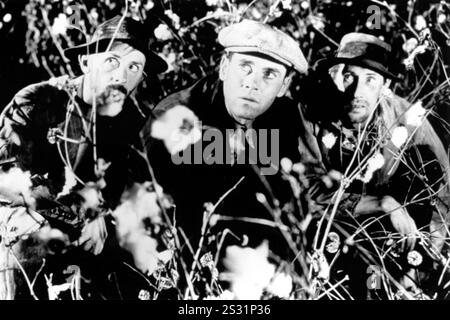 DIE TRAUBEN DES ZORNES JOHN QUALEN, HENRY FONDA, JOHN CARRADINE Bild aus dem Ronald Grant Archve Datum: 1940 Stockfoto