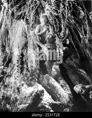A MIDSUMMER NIGHT'S DREAM (US 1935) WARNER BROS MICKEY ROONEY BILD AUS DEM RONALD GRANT ARCHIVE A MIDSUMMER NIGHT'S DREAM (US 1935) WARNER BROS MICKEY ROONEY Datum: 1935 Stockfoto