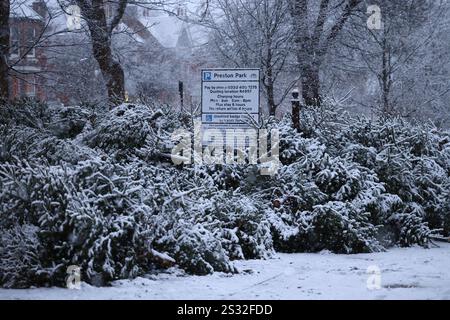 Brighton, Großbritannien. Januar 2025. Schneebedeckte Weihnachtsbäume in einem Re-Cycling-Bereich im Preston Park, Brighton. Quelle: James Boardman/Alamy Live News Stockfoto