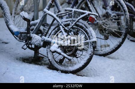 Brighton, Großbritannien. Januar 2025. Schneebedeckte Fahrräder im Preston Park in Brighton in Südengland Credit: James Boardman/Alamy Live News Stockfoto