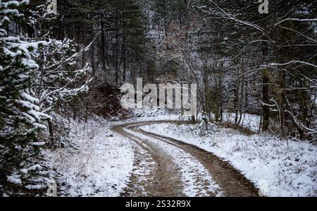 Eine rustikale Schotterstraße schlängelt sich durch einen ruhigen, verschneiten Wald, umgeben von hohen Bäumen, die mit weißem und glitzerndem Frost bedeckt sind Stockfoto