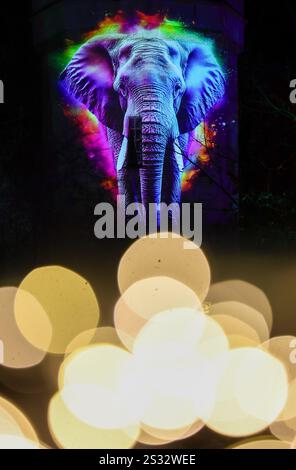 Leipzig, Deutschland. Januar 2025. Im Rahmen der „magischen Tropenbeleuchtung“ wird ein Elefant auf ein Gebäude im Leipziger Zoo projiziert. Vom 9. Januar bis zum 9. Februar werden die Fassaden, Einhausungen und das Gondwanaland im Leipziger Zoo in hellen Farben beleuchtet. Jeden Donnerstag bis Sonntag können Gäste das bunte, faszinierende Leuchten in den Abendstunden erleben und eine Bootsfahrt durch den beleuchteten Regenwald Unternehmen. Live-Musik, Entdeckungsstationen und ein Sternenhimmel runden das Erlebnis ab. Quelle: Jan Woitas/dpa/Alamy Live News Stockfoto