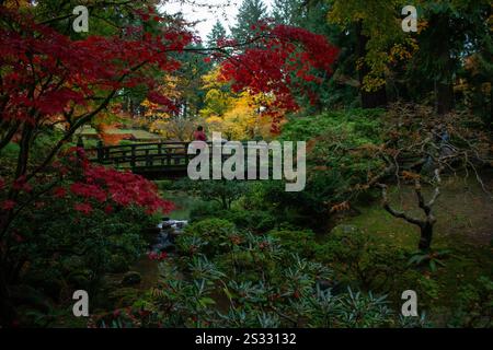 Frau in rotem Mantel, die während der Herbstsaison eine Brücke über einen kleinen Bach im Portland Japanese Garden überquert. Stockfoto