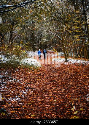 Leute, die in winterlichen Wäldern spazieren Stockfoto