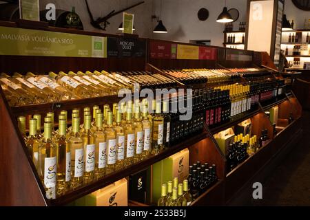 La Geria, Spanien: 16. Oktober 2024: La Geria Classic Winery Shop auf der Touristeninsel Lanzarote im Jahr 2024. Stockfoto