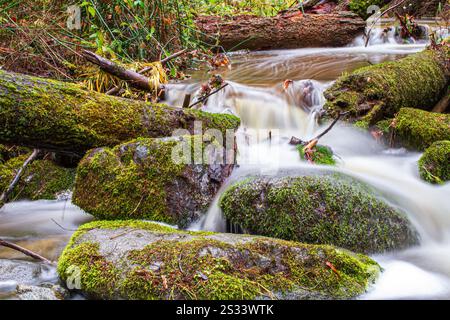 Kleine Wasserfälle entlang des Wagner Creek Stockfoto