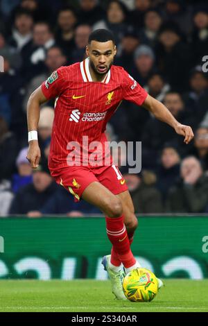 London, Großbritannien. Januar 2025. London, England, 8. Januar 2025: Cody Gakpo (18 Liverpool) während des EFL Cup Spiels zwischen Tottenham Hotspur und Liverpool im Tottenham Hotspur Stadium in London, England (Alexander Canillas/SPP) Credit: SPP Sport Press Photo. /Alamy Live News Stockfoto