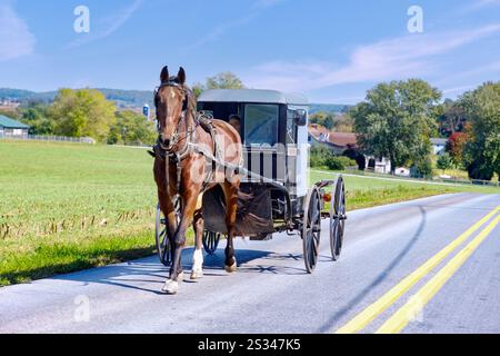 Amish Pferdekutsche auf einer Landstraße in der Nähe von Strasburg im Pennsylvania Dutch Country in Pennsylvania, USA Stockfoto