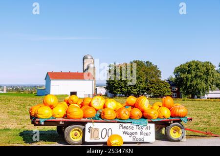 Kürbisse zum Verkauf mit Blick auf Farm und Getreideaufzug in der Nähe von Strasburg im Pennsylvania Dutch Country in Pennsylvania, USA Stockfoto