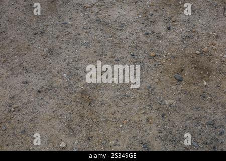 Hintergrund und Beschaffenheit der Fahrbahn bestehen aus Asphalt und kleinen Steinen. Hochwertige Fotos Stockfoto
