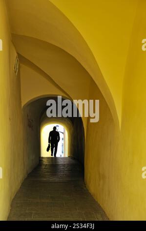 Gewölbte Passage, Ober- und Altstadt, Sibiu, Siebenbürgen, Rumänien, Südost- und Mitteleuropa Stockfoto