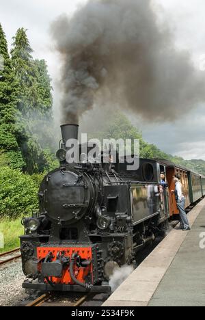 Llanfair Light Railway, Llanfair Caereinion, Welshpool, Powys, Wales, Vereinigtes Königreich, Großbritannien, Europa Stockfoto