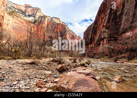 Ein felsiger Canyon mit einem Fluss, der durch ihn fließt. Der Canyon ist voller Bäume und Felsen und der Fluss ist klar und ruhig. Die Szene ist friedlich und ruhig Stockfoto