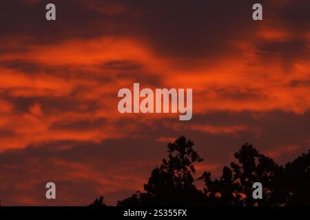 Ein farbenfroher roter Sonnenaufgang über Silhouettenbäumen. Kanagawa, Japan. Stockfoto