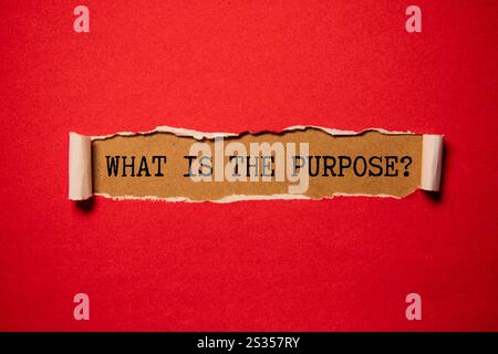 Holzblöcke bilden die Worte „What's Your Purpose“ auf unscharfem Hintergrund. Stockfoto