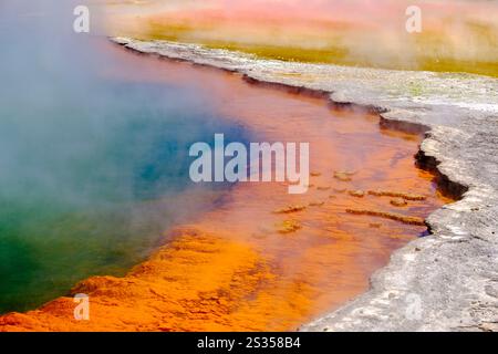 Detail des terrassierten Randes des Champagne Pools, geothermische Thermalquellen, Wai-O-Tapu Thermal Wonderland, Rotorua, Neuseeland Nordinsel Stockfoto