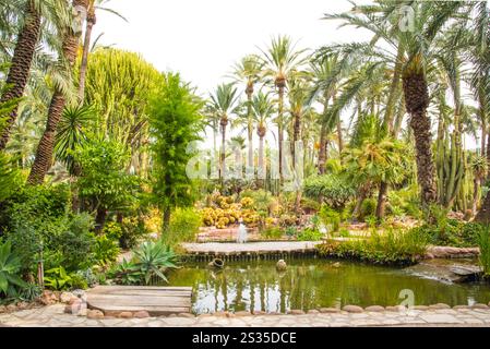 Elche, Huerto de Cura, World&#39; größter Palmenstand, Weltkulturerbe, Provinz Alicante, Spanien Stockfoto