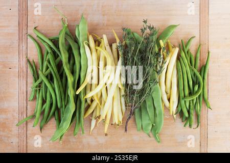 Verschiedene Bohnen mit Kräutern Stockfoto